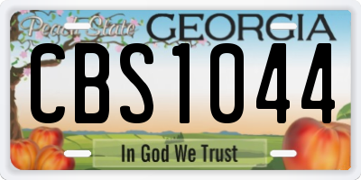 GA license plate CBS1044