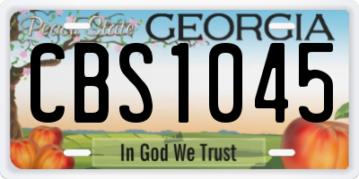 GA license plate CBS1045