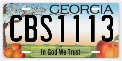 GA license plate CBS1113