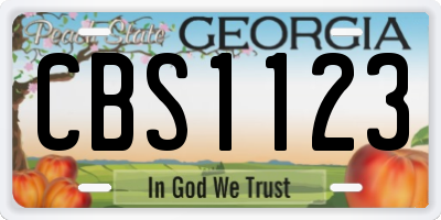GA license plate CBS1123