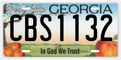 GA license plate CBS1132