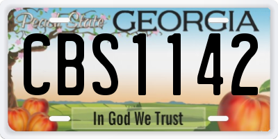 GA license plate CBS1142