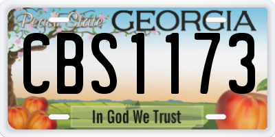 GA license plate CBS1173