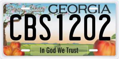 GA license plate CBS1202