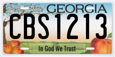 GA license plate CBS1213