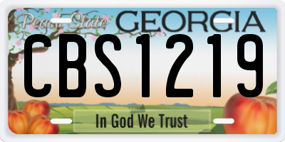 GA license plate CBS1219