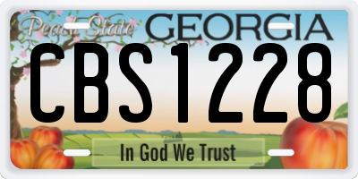 GA license plate CBS1228
