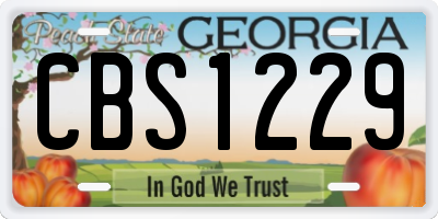 GA license plate CBS1229