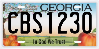GA license plate CBS1230