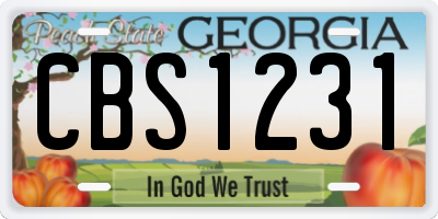 GA license plate CBS1231