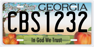 GA license plate CBS1232