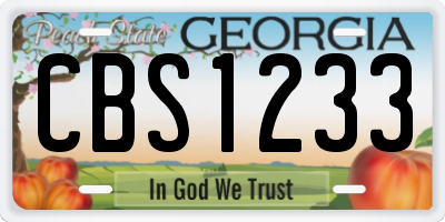 GA license plate CBS1233