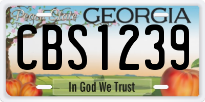 GA license plate CBS1239