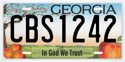 GA license plate CBS1242