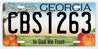 GA license plate CBS1263