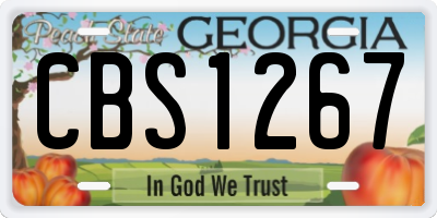 GA license plate CBS1267