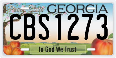 GA license plate CBS1273