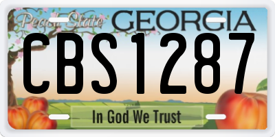 GA license plate CBS1287
