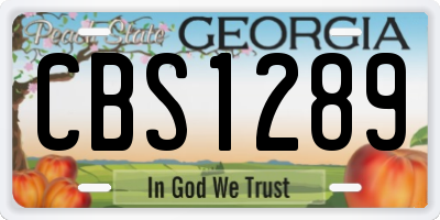 GA license plate CBS1289