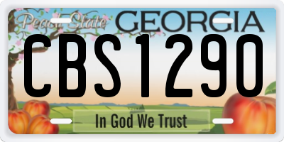 GA license plate CBS1290