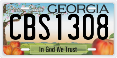 GA license plate CBS1308