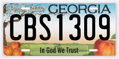 GA license plate CBS1309