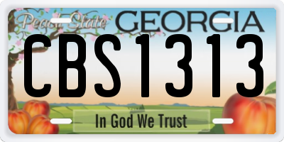 GA license plate CBS1313