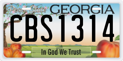 GA license plate CBS1314