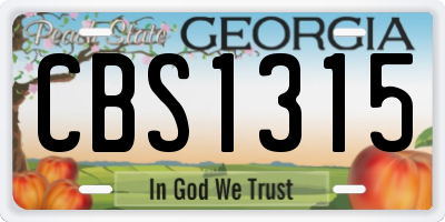 GA license plate CBS1315