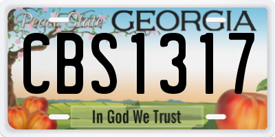 GA license plate CBS1317
