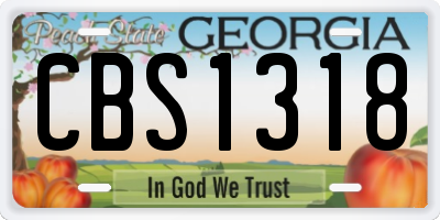 GA license plate CBS1318