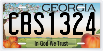 GA license plate CBS1324