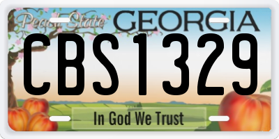 GA license plate CBS1329
