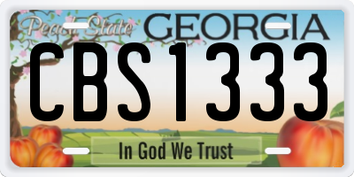GA license plate CBS1333