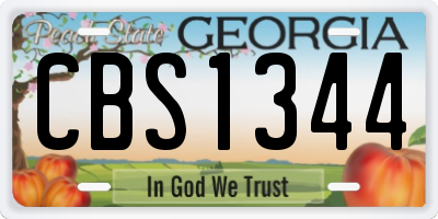 GA license plate CBS1344