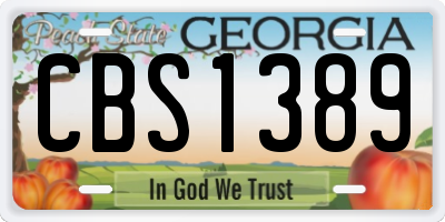 GA license plate CBS1389