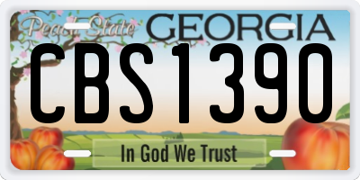 GA license plate CBS1390