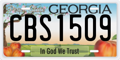 GA license plate CBS1509