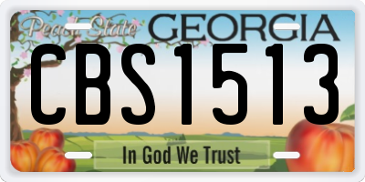 GA license plate CBS1513
