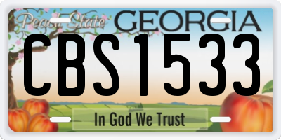 GA license plate CBS1533