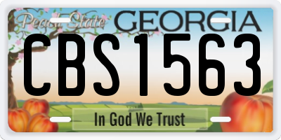 GA license plate CBS1563