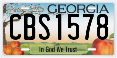 GA license plate CBS1578