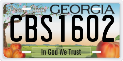 GA license plate CBS1602