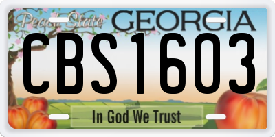 GA license plate CBS1603
