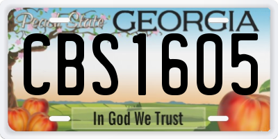 GA license plate CBS1605