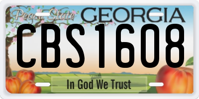 GA license plate CBS1608