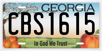 GA license plate CBS1615