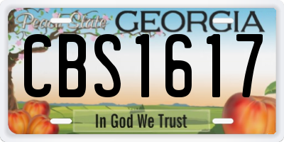 GA license plate CBS1617