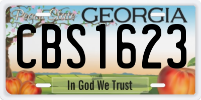 GA license plate CBS1623