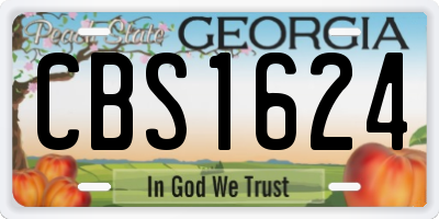 GA license plate CBS1624